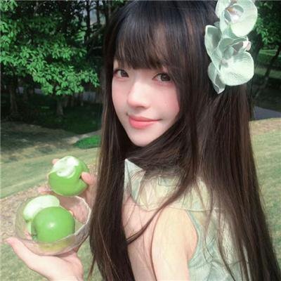 海豚伯尼2